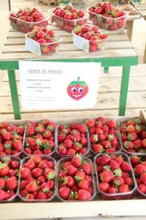 Fraise magasin