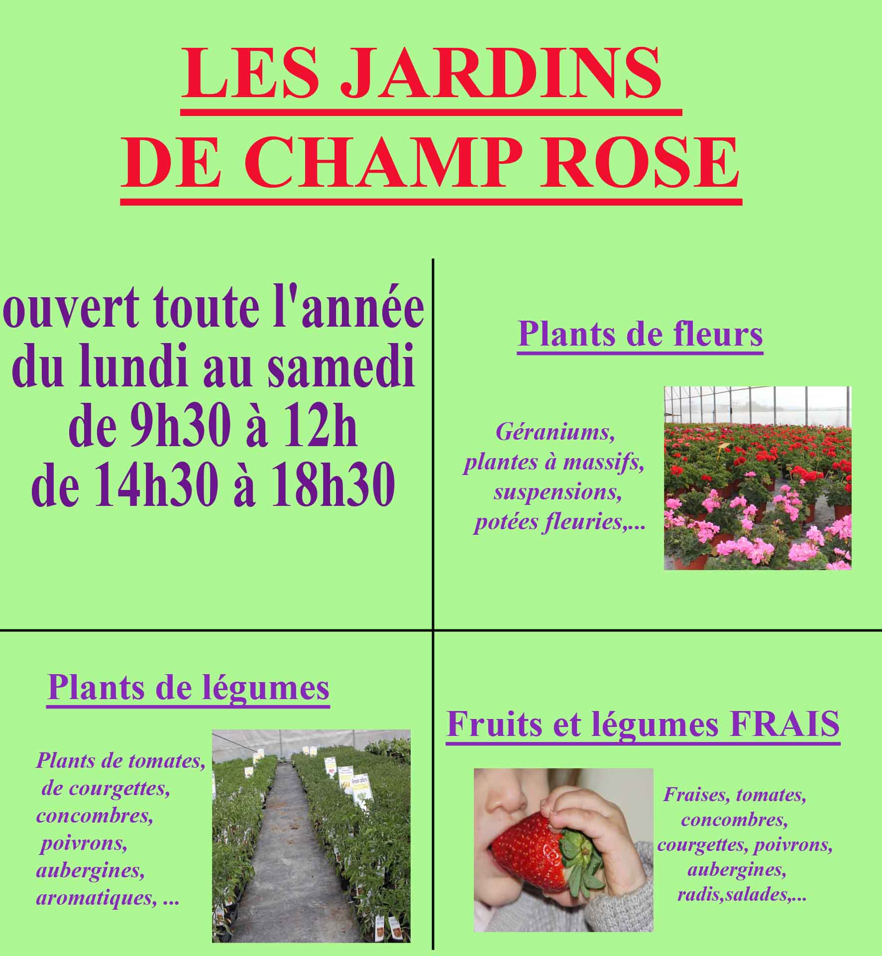 Ouvert toute l annee